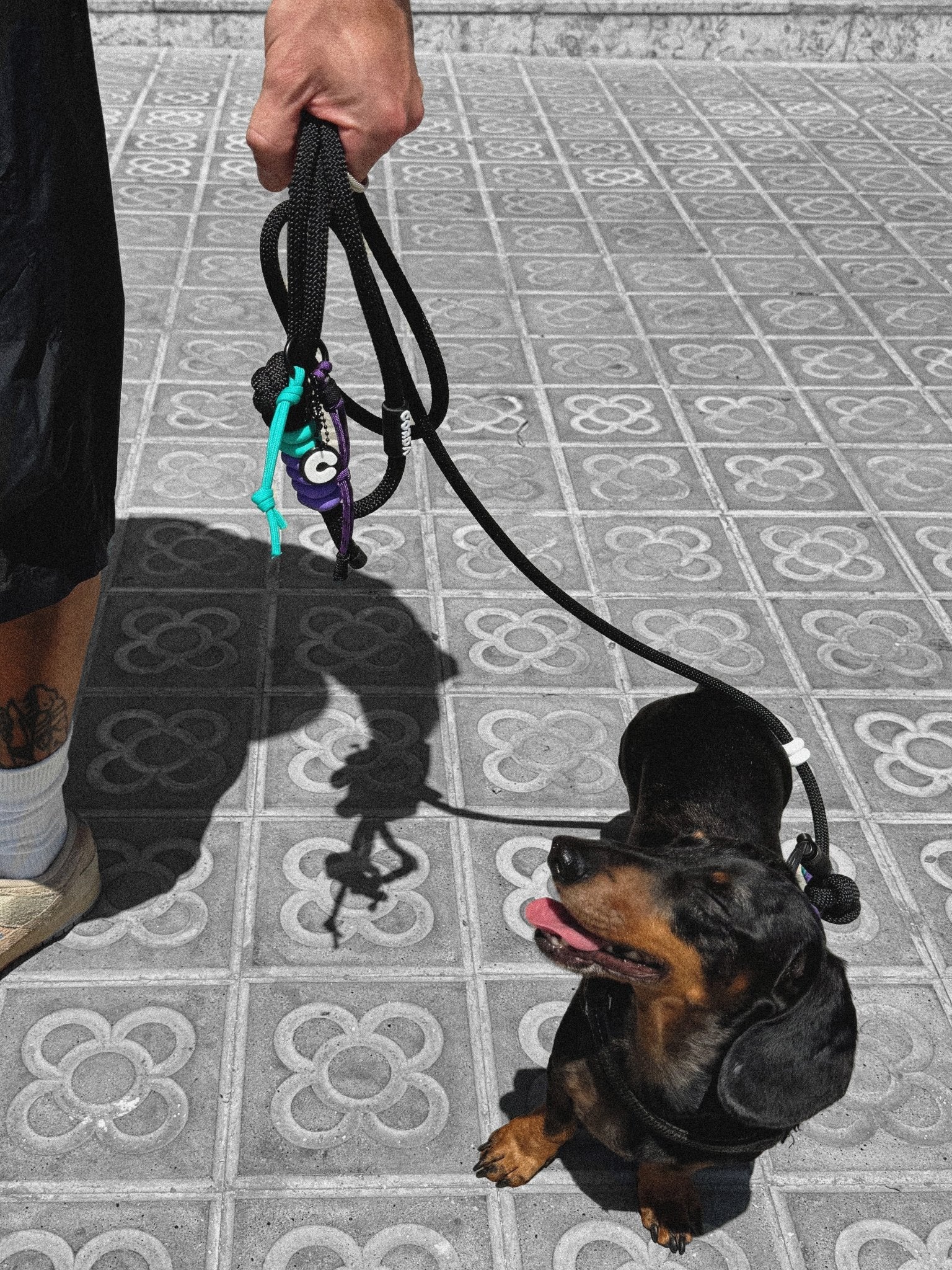 Correa para Perro Multi posición SUPERBOLD C0VR1. - Corda Customs